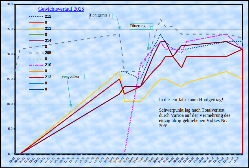 Gewichtsverlauf im Jahr 2025